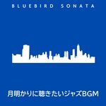 Amiable Murmurs of Night