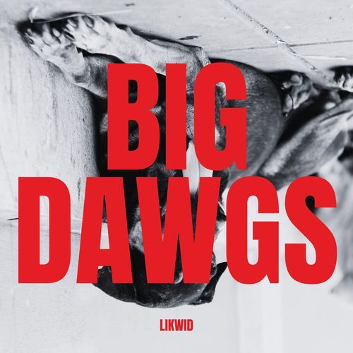 BIG DAWGS (DnB)