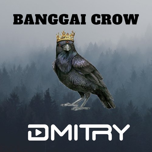 Banggai Crow_poster_image