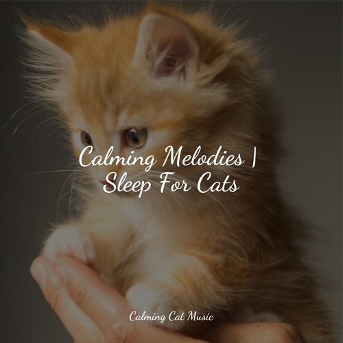 Calming Melodies | Sleep For Cats