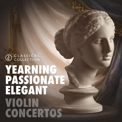 Violin Concerto No.1, 3rd Mvt