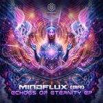 Shaman (MindFlux (BR) Remix)