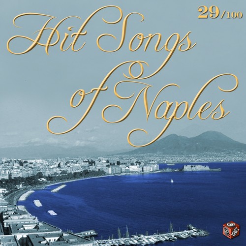 Hit Songs of Naples, Vol. 29