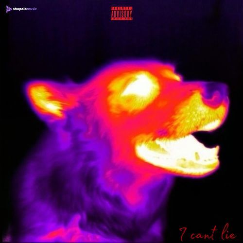 I CANT LIE