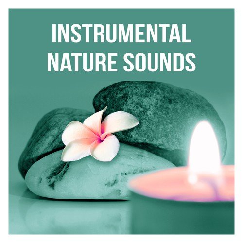Instrumental Nature Sounds - Spa Selection of Chill Out and Lounge to Relax During the Cold Winter, Background Music for Sensual Massage