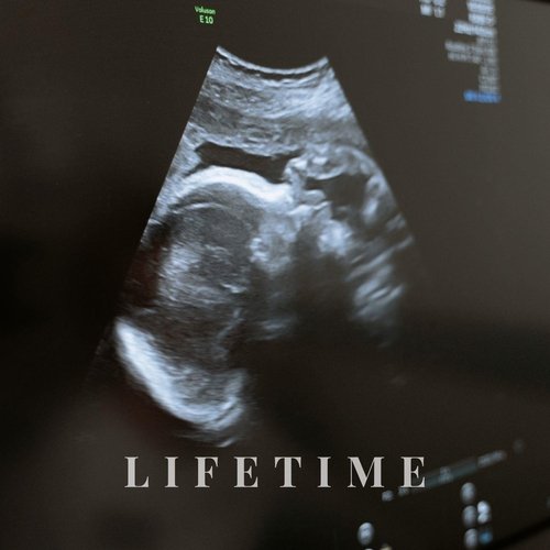 Lifetime cover art