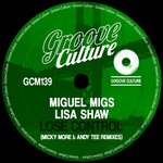Lose Control (Micky More & Andy Tee Vocal Remix)