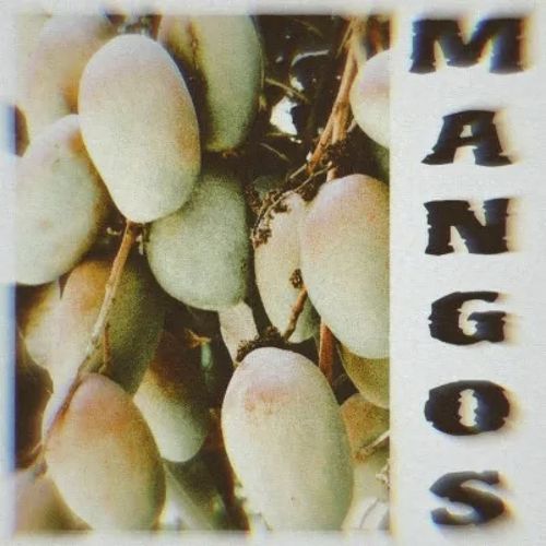 Mangos Phonk_poster_image