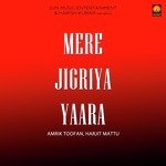 Mere Jigriya Yaara