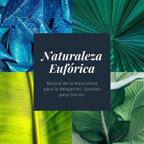 Sanar el Alma y el Cuerpo cover art