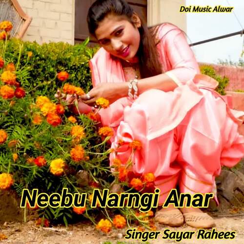 Neebu Narngi Anar