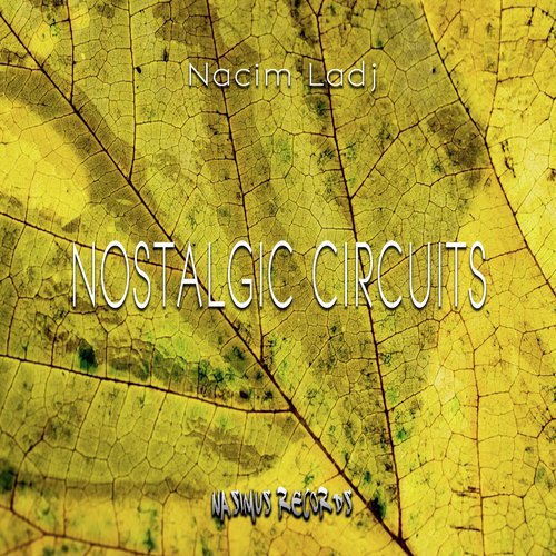 Nostalgic Circuits EP