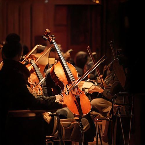 Orchestra in Motion: Gentle Rhythmic Flow