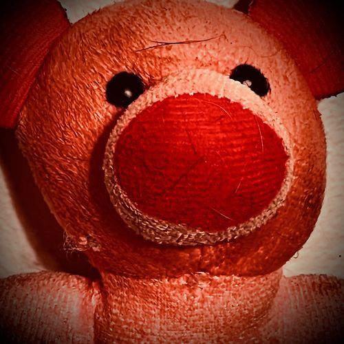 Quiet Piggy cover art
