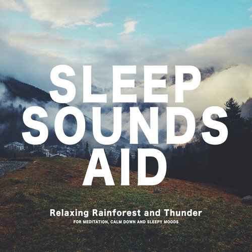 Sleep Sounds: Relaxing Rainforest and Thunder_poster_image