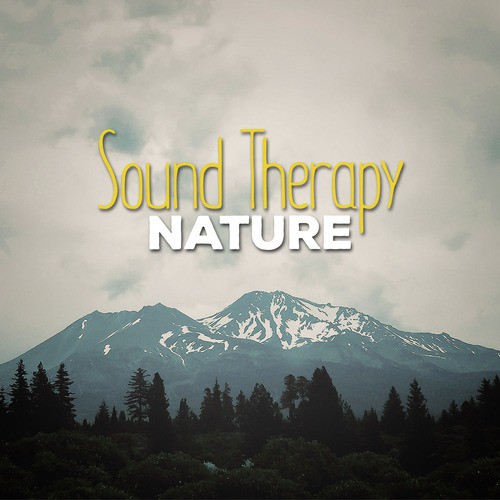 Sound Therapy: Nature_poster_image