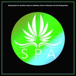 Spa: Relaxing Music For Spa Music, Music For Meditation, Music For Relaxation & Calm Sleeping Music