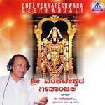 Srinivasana Nagemodi