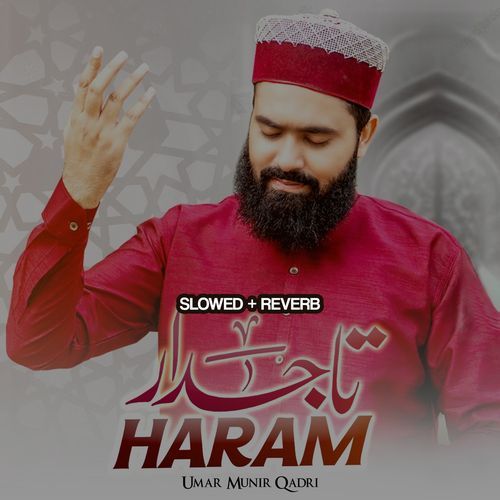 Tajdar-e-Haram Lofi Version