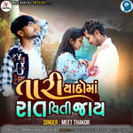 Tari Yaado Ma Rat Viti Jay