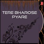Tere Bharose Pyare Vol-10