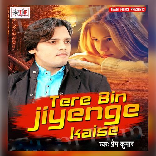 Tere Bin Jiyenge Kaise