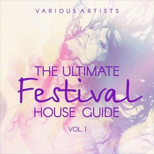 The Ultimate Festival House Guide, Vol. 1