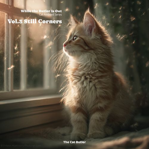 물그릇의 빛 번짐(Light Blooming by the Water Bowl)