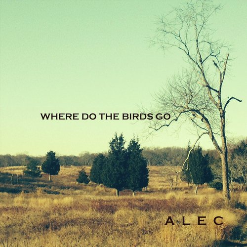 Where Do the Birds Go