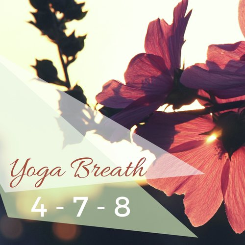 Yoga Breath 4-7-8: Deep Meditation Music for Breathing Techniques, Peaceful Songs