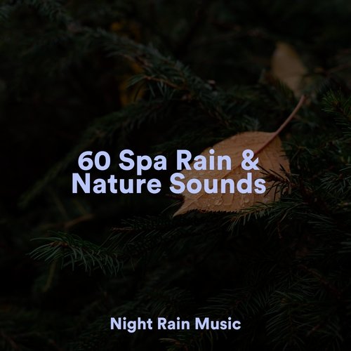 60 Spa Rain &amp; Nature Sounds_poster_image