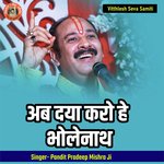 Ab Daya Karo He Bholenath artwork