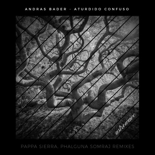 Aturdido Confuso (Phalguna Somraj Remix)