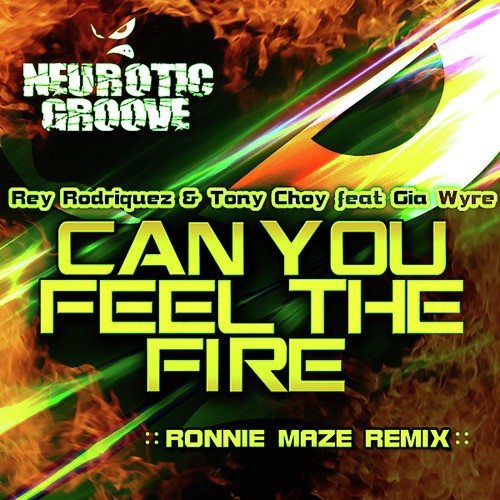 Can You Feel the Fire (Ronnie Maze Remix)_poster_image