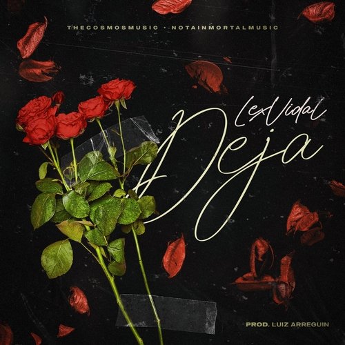 Deja cover art