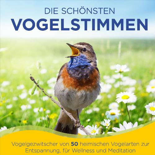 Am Waldrand (Baumpieper, Tannenmeise, Wintergoldhähnchen, Kleiber, Pirol, Birkenzeisig, Fichtenkreuzschnabel, Waldkauz, Specht, Tannenhäher, Girlitz) [Live] cover art
