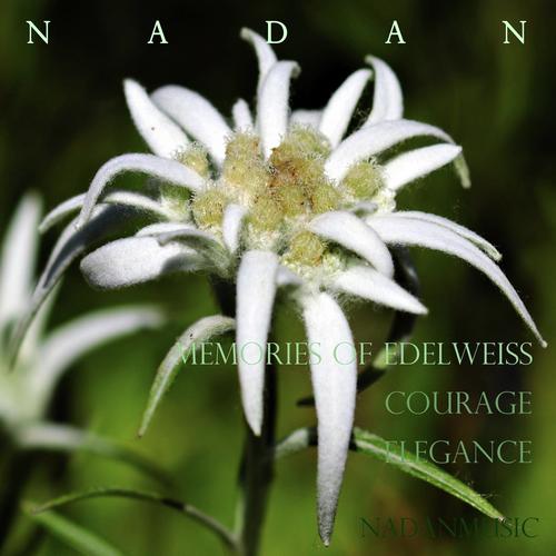 Edelweiss