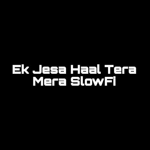 Ek Jesa Haal Tera Mera SlowFi (1)