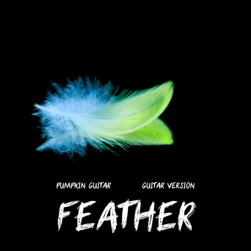 Feather (Guitar Version) cover art