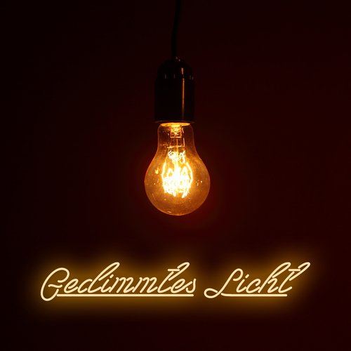 Gedimmtes Licht_poster_image