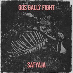 Ggs Gally Fight-GgEneCNFfQI