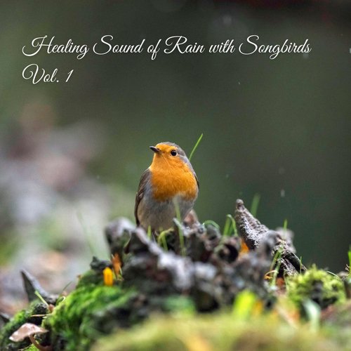 Exotic Birds Sounds in the Rain cover art