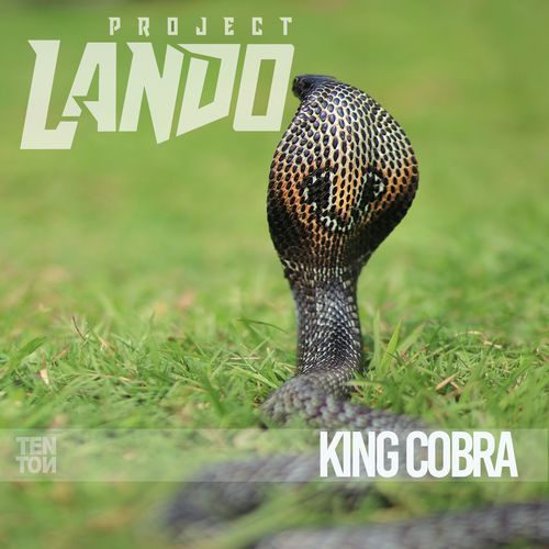 King Cobra cover art