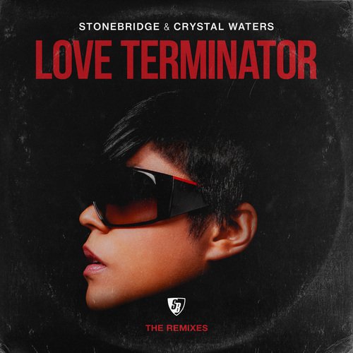 Love Terminator (The Remixes)_poster_image