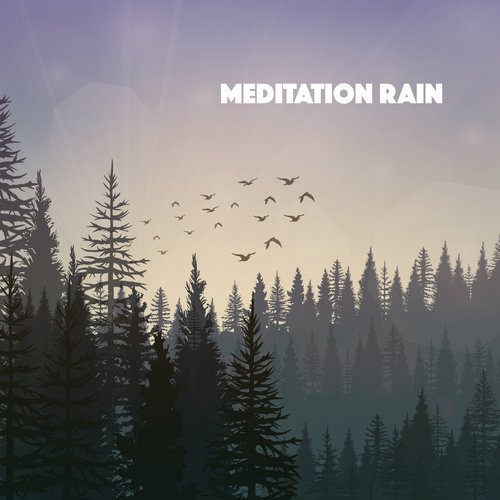 Meditation Rain