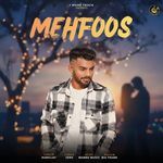 Mehfoos