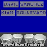 Miami Boulevard (Day)