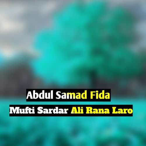 Mufti Sardar Ali Rana Laro