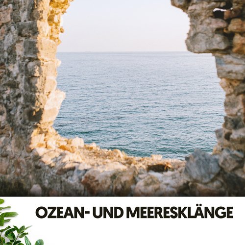 Ozean- und Meeresklänge: Entspannende Rhythmen der Meeresküste