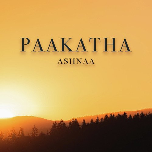 Paakatha_poster_image